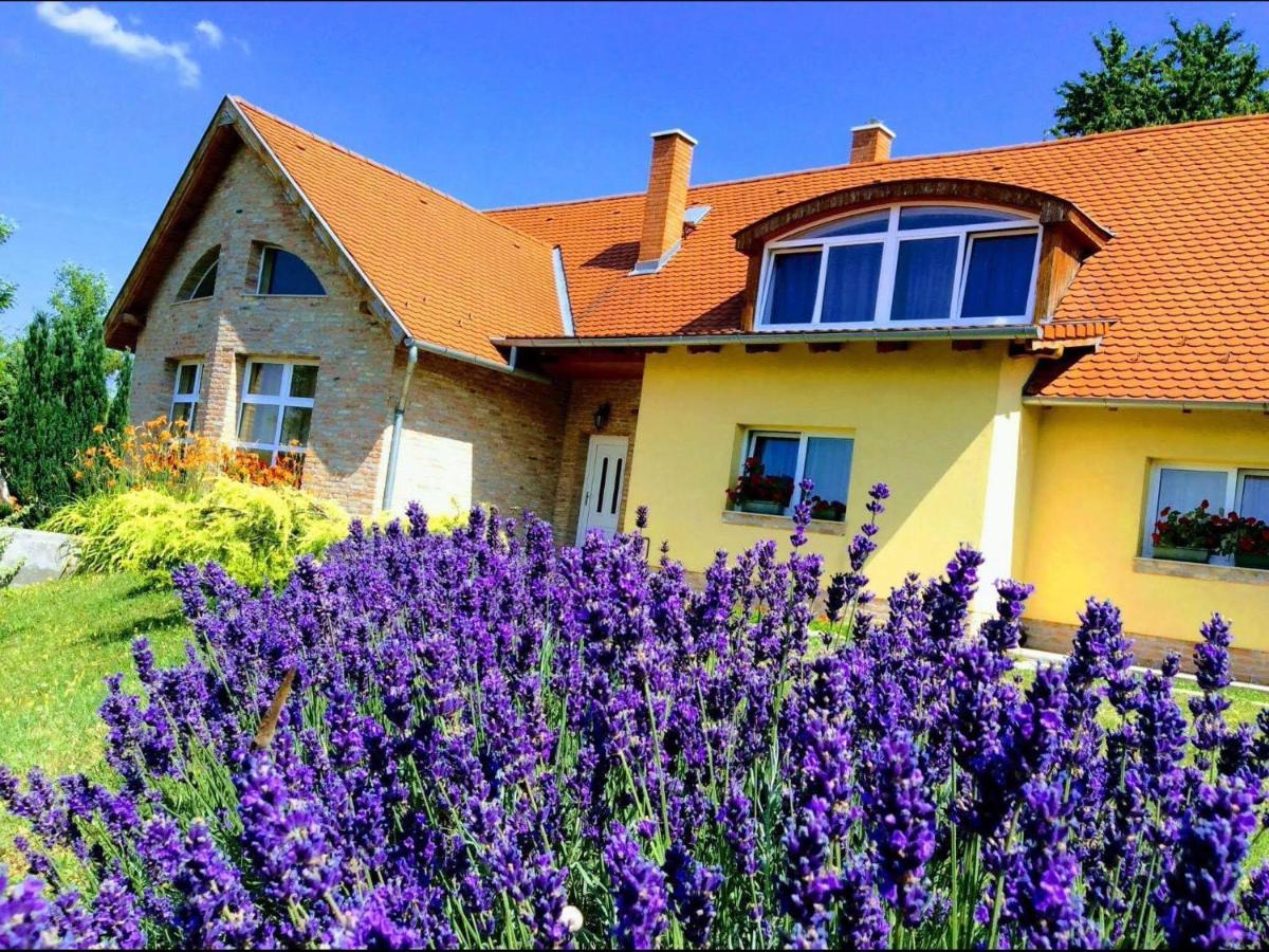 Apartments For Rent Near Budapest Etyek Exterior photo