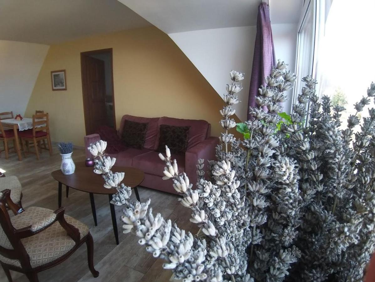 Apartments For Rent Near Budapest Etyek Exterior photo