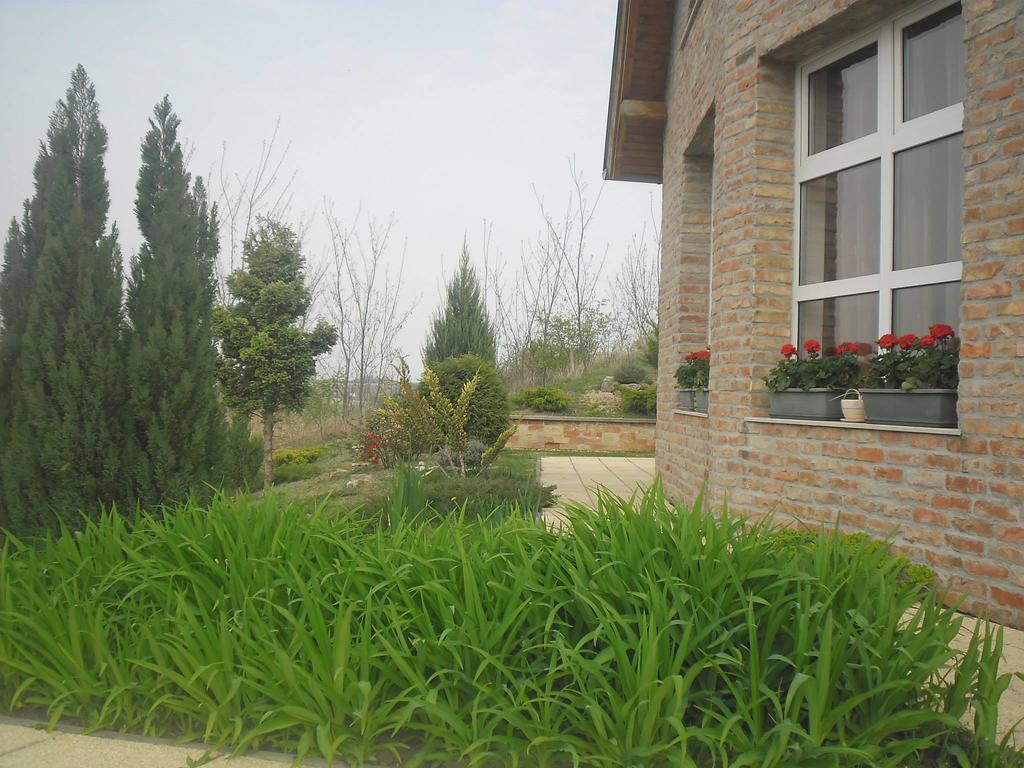 Apartments For Rent Near Budapest Etyek Exterior photo